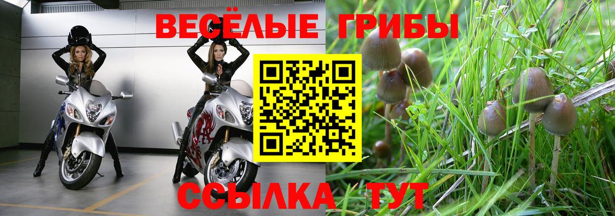 Галлюциногенные грибы Magic Shrooms Трёхгорный